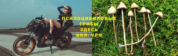 прущая мука Гусев