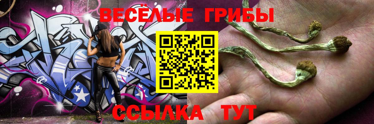 Псилоцибиновые грибы мухоморы  Вичуга  Псилоцибиновые грибы GOLDEN TEACHER 